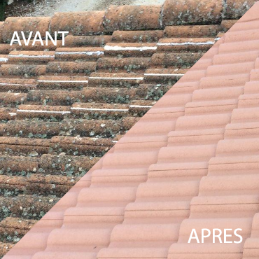 Nettoyage toiture Grésy-sur-Aix